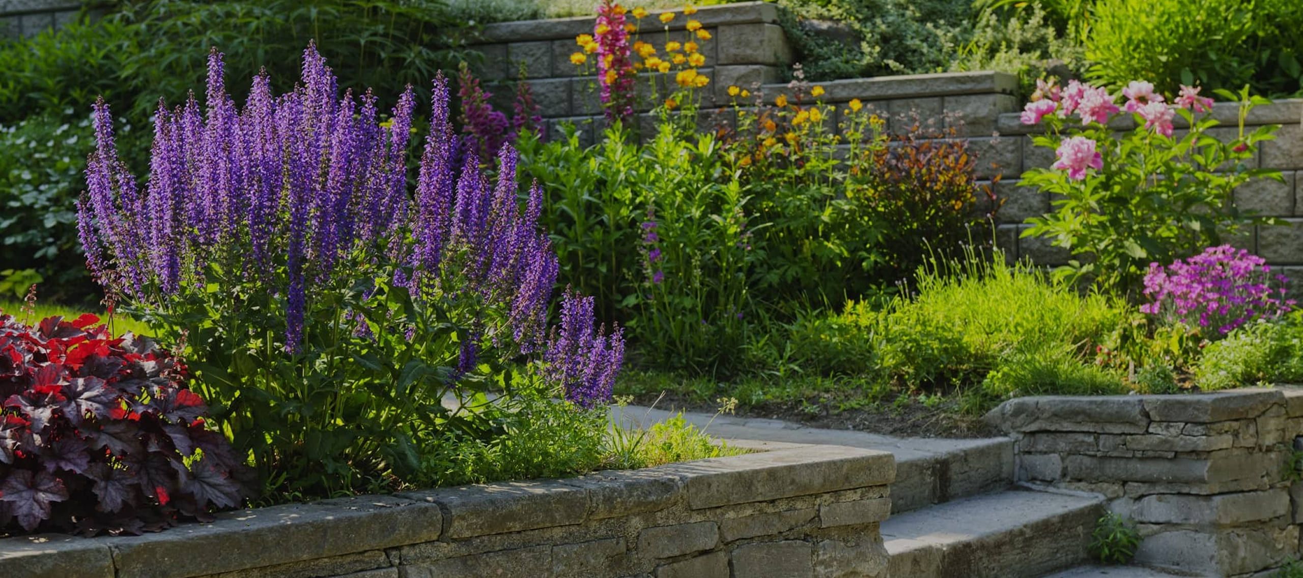 Schöner Garten mit Steinmauer